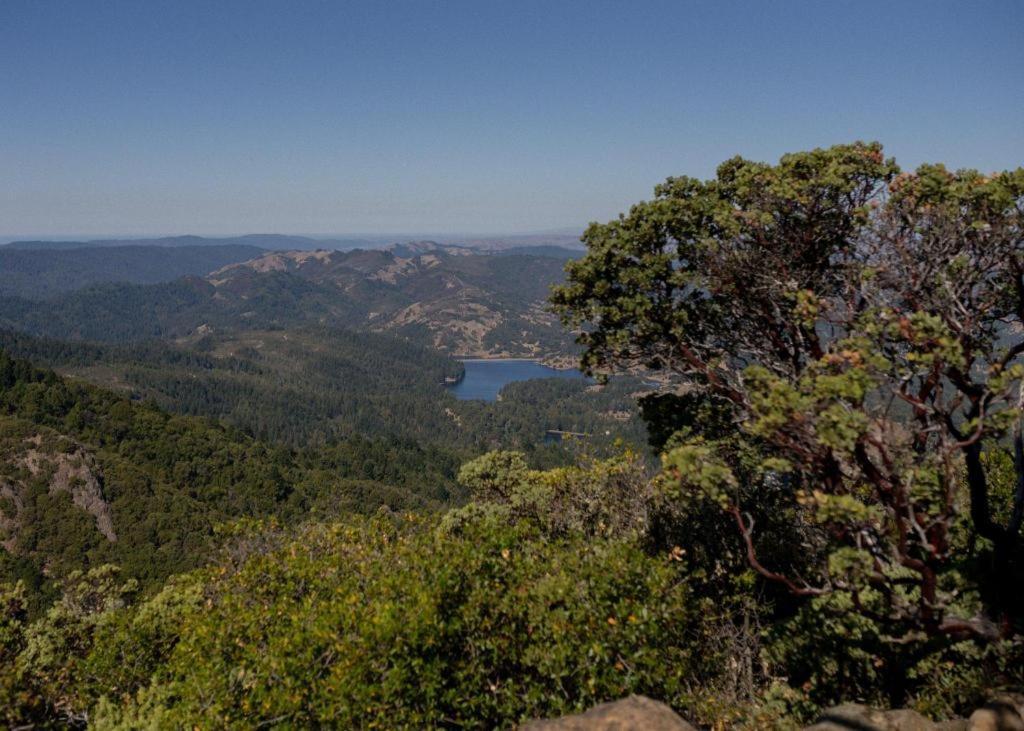 Marin Suites Hotel Corte Madera Kültér fotó
